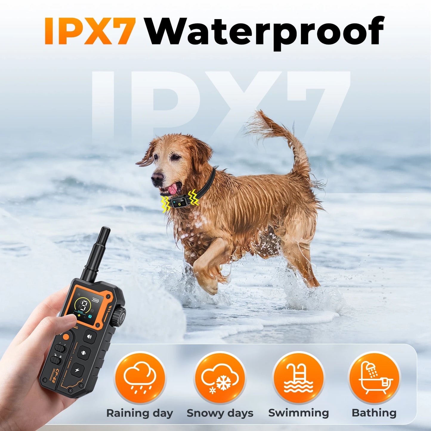 Remote Dog Training E-Collar Rechargeable and Waterproof CP69 1000m 1-2 Dogs