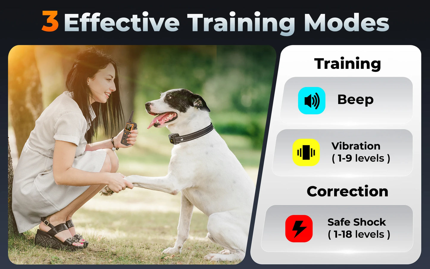 Remote Dog Training E-Collar Rechargeable and Waterproof CP69 1000m 1-2 Dogs