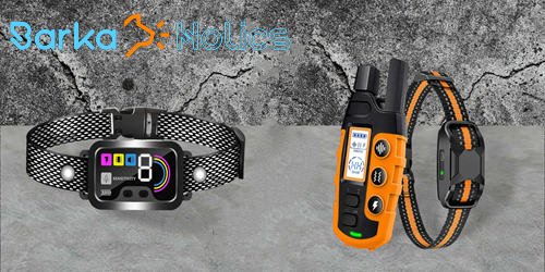 Anti‑Bark vs Remote Dog Training Collars