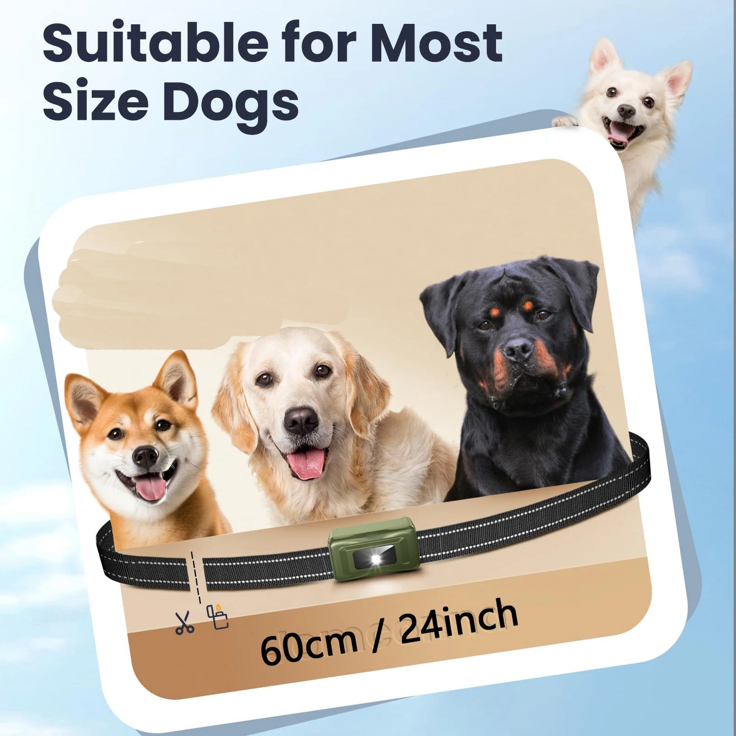 Remote Dog Training E-Collar Rechargeable and Waterproof RS5R 1250m 1-2 Dogs